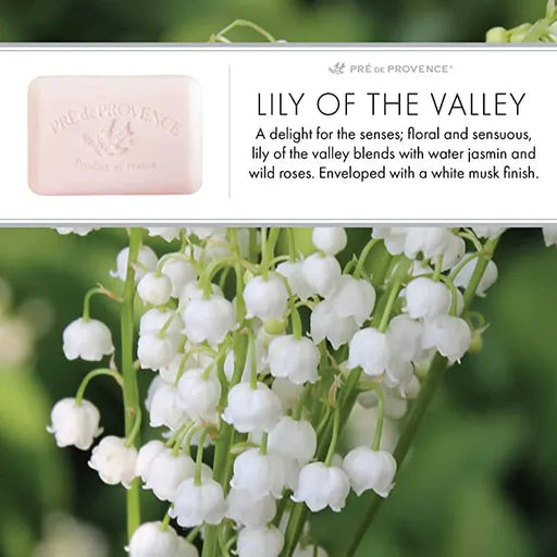 Pre De Provence Pre De Provence Lily Of The Valley Shea Butter Enriched Vegetable Soap 150g Bar Soap Gray