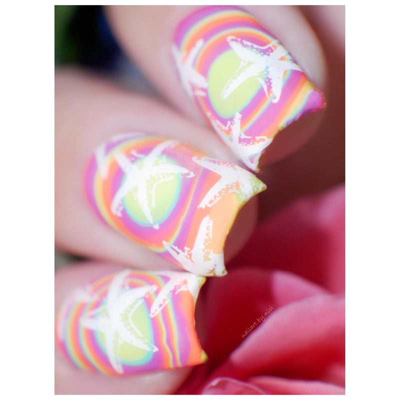 UberChic Beauty Seas The Day Stamping Plate Thistle