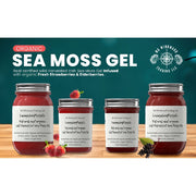 MG Windward Trading LLC Aloe Vera Infused Organic Sea Moss Gel Herbal Gel Dark Slate Gray 8 oz. / Without Agave,8 oz. / With Agave,16 oz. / Without Agave,16 oz. / With Agave,32 oz. / Without Agave,32 oz. / With Agave