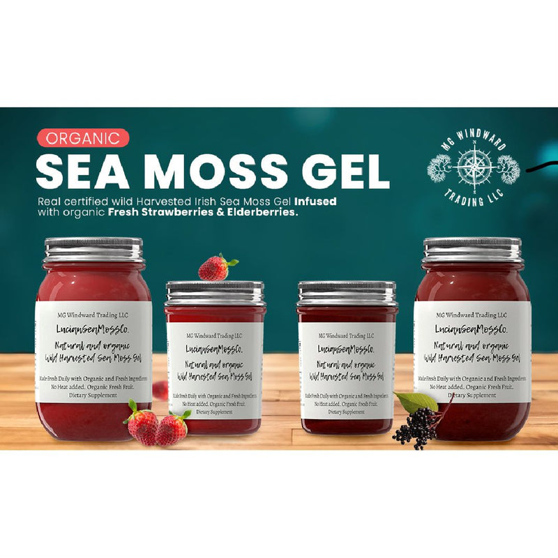 MG Windward Trading LLC Aloe Vera Infused Organic Sea Moss Gel Herbal Gel Dark Slate Gray 8 oz. / Without Agave,8 oz. / With Agave,16 oz. / Without Agave,16 oz. / With Agave,32 oz. / Without Agave,32 oz. / With Agave