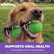 WACKYstore WUNDERball - Best Fetch Toy Dark Olive Green (XL) Over 80 lbs. / Swirl,(XL) Over 80 lbs. / Orange,(XL) Over 80 lbs. / Green,(XL) Over 80 lbs. / Pink,(XL) Over 80 lbs. / Purple,(LARGE) up to 80 lbs. / Swirl,(LARGE) up to 80 lbs. / Orange,(LARGE) up to 80 lbs. / Green,(LARGE) up to 80 lbs. / Pink,(LAR