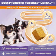 Nature Target Chicken flavor Probiotics for Dogs & Cats, 6 Billion CFUs, 180 Chews Pet Vitamins Supplements Light Gray