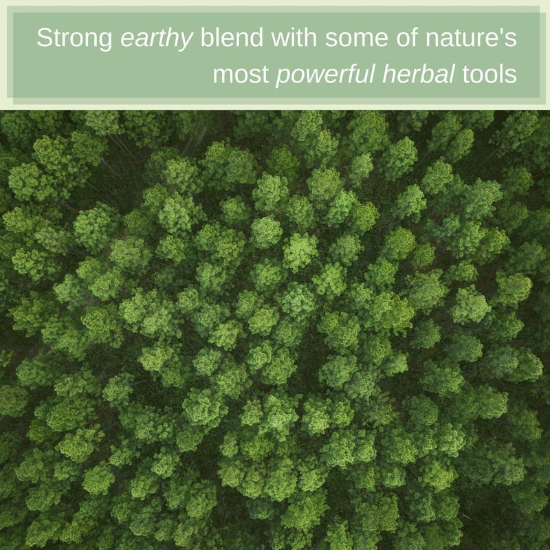 SpeedyVite® Blood LifeBoost® Tea | USDA Organic Herbal Cleansing Tea (4 oz / 8 oz / 28 Bags) | SpeedyVite® - FREE SHIPPING Tea Dark Olive Green 1x 4oz Loose Leaf,1x 28 Teabags,1x 8oz Loose Leaf [2x4oz],CASE OF 6x (4oz Loose Leaf),CASE OF 6x (28 Teabags),1x 8oz Loose Leaf [2x4oz] - 50% OFF (Past Best-By) - dried herbs don't spoil, best-by = peak potency not safety