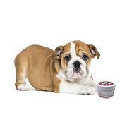 Warren London Hydrating Butter Balm - For Nose and Paws Spa Product White Smoke