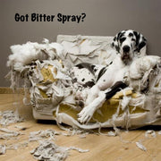 Warren London Dog Bitter Spray Anti-Chew - Anti-Lick Spa Product Dim Gray