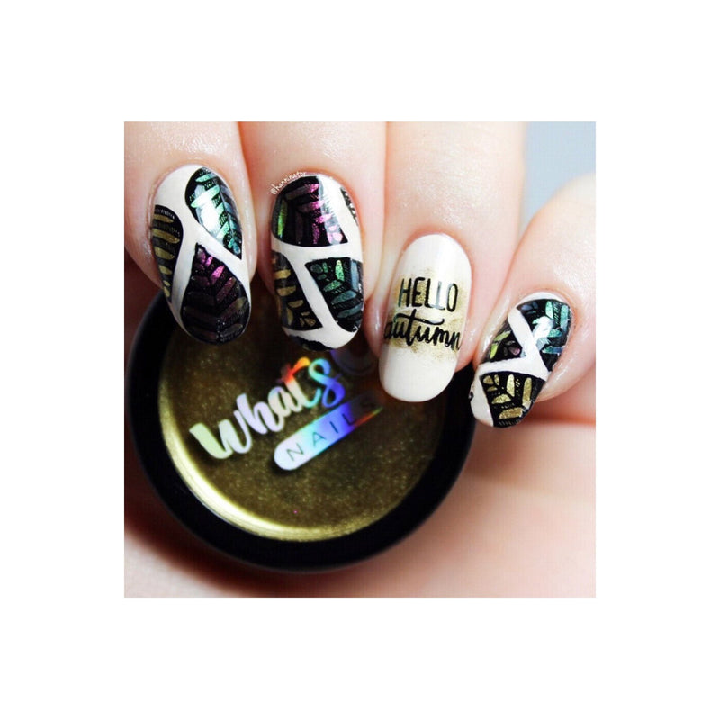 UberChic Beauty Lovely Leaves-04 Stamping Plate Black