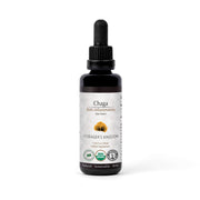 Forager's Kingdom Chaga Extract Mushroom Extract White Smoke