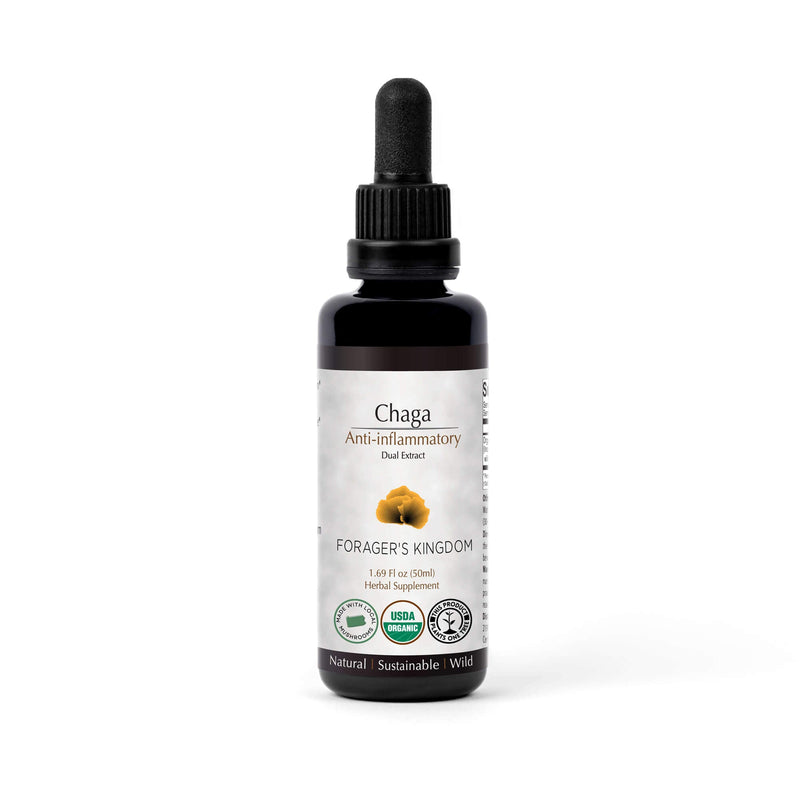 Forager's Kingdom Chaga Extract Mushroom Extract White Smoke