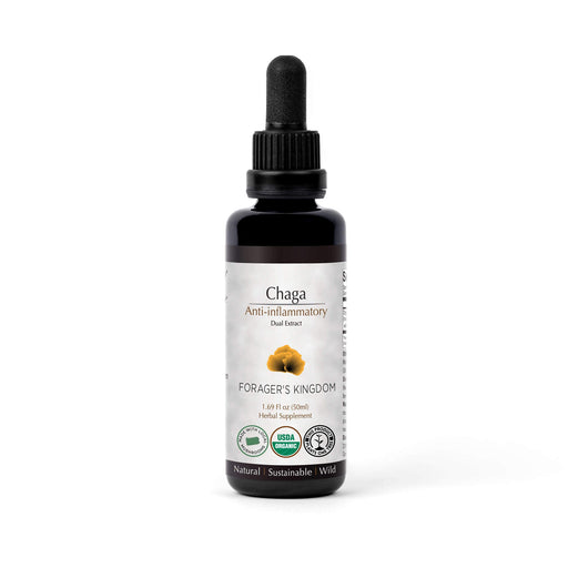 Forager's Kingdom Chaga Extract Mushroom Extract White Smoke