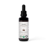 Forager's Kingdom Maitake Extract Mushroom Extract White Smoke