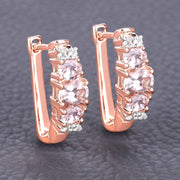 Bids.com 1.32 Carat Genuine Morganite and White Topaz .925 Sterling Silver Earrings Earrings Dim Gray