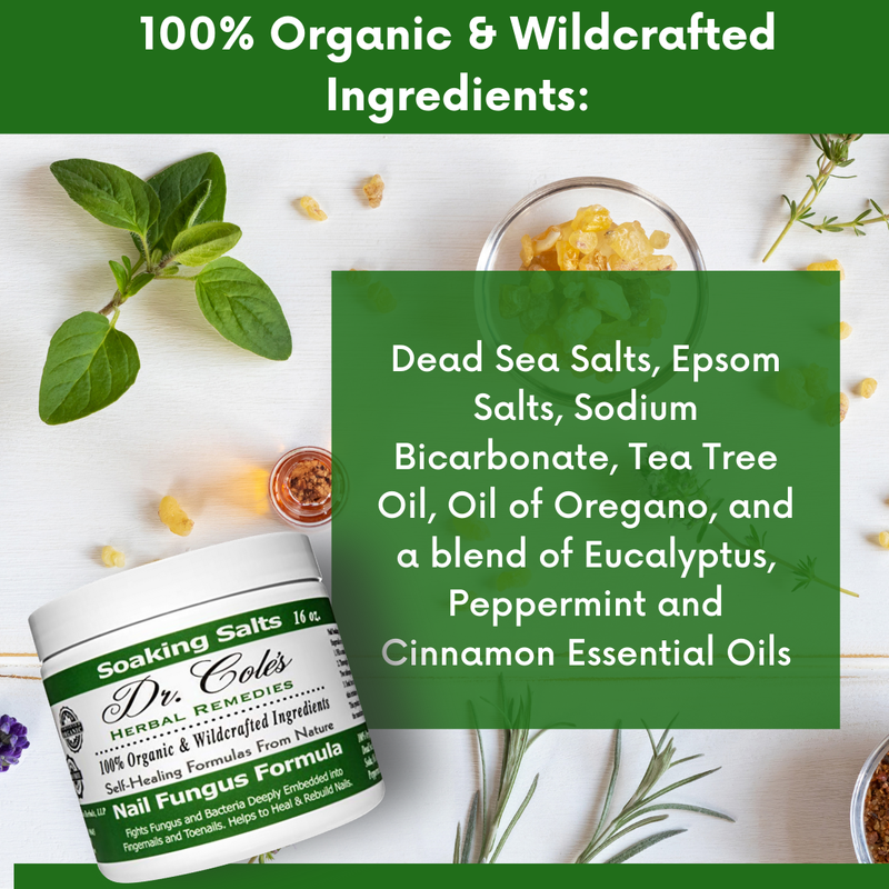 COLEHERBALS LLC 09 - Dr. Cole's Organic Athlete’s Foot Treatment Herbal Lavender