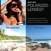 zeroUV Bold Oversize Square Horned Rim Flat Lens Sunglasses A252 Sunglasses Black Black Clear Smoke,Tortoise Blue Lavender,Shiny Black Smoke,Black Tortoise Lavender,Yellow Tortoise Amber,Off-White Smoke,Tortoise Brown (Polarized),Solid Nude Amber,Coral Smoke,Clear Brown Smoke,Black / Silver Mirror (Polarized),Black Tortoise / Lavender,