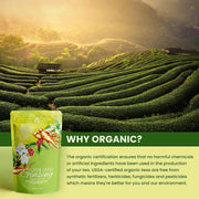 Gardenika Shop Ginseng Green Tea, Medium-Caffeine - Energy Boost - Organic & Kosher Loose Leaf Tea Khaki