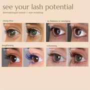 Chella good drama mascara Bisque Black,Brown,Blue,Burgundy