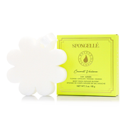 Spongellé Coconut Verbena | Boxed Flower Body Wash Infused Buffer Seashell