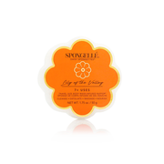 Spongellé Daisy Spongette Assorted Pack Body Wash Infused Buffer Dark Orange
