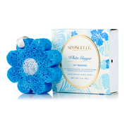 Spongellé White Ginger | Hawaiian Buffer Body Wash Infused Buffer Dodger Blue