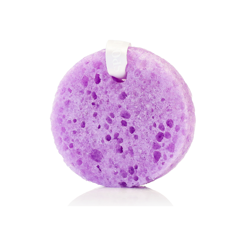 Spongellé Acoustic Harmony | Love & Notes Body Buffer Body Wash Infused Buffer White Smoke