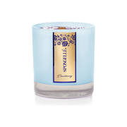 Spongellé Blackberry | Private Reserve Candle Home Fragrance Light Gray