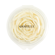 Spongellé Floret Replacement Home Fragrance Antique White
