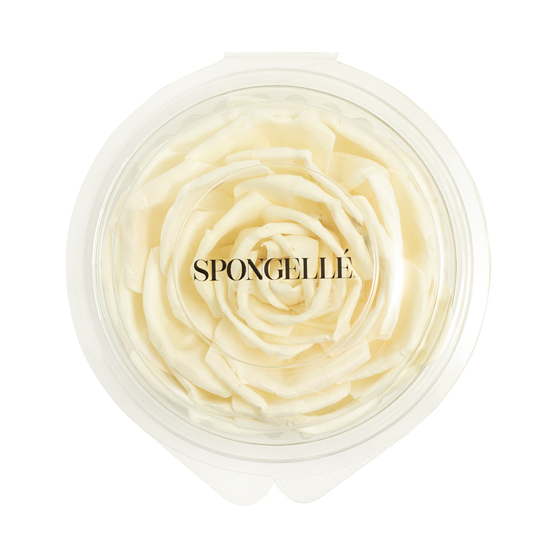 Spongellé Floret Replacement Home Fragrance Antique White