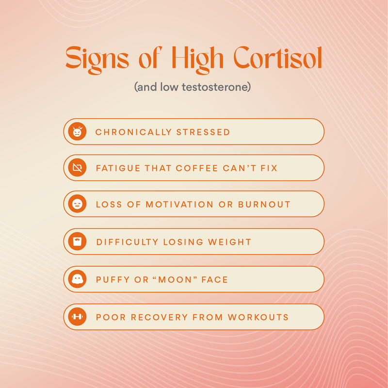 ALORI Cortisol, Who? Women's Supplement Bisque