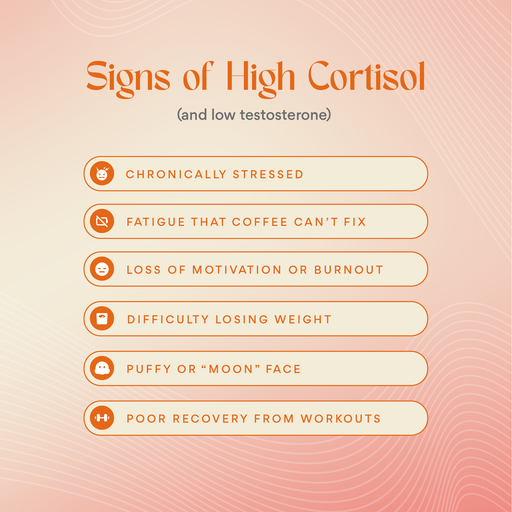 ALORI Cortisol, Who? Women's Supplement Bisque