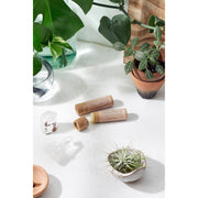 Butter Me Up Organics Organic Anti-Chap Lip Balm / Chapped Lips / Organic Lip Moisturizer / PAPERBOARD Tube Face Light Gray
