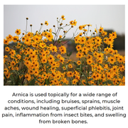 Mineranaturals Arnica Balm -  Muscle & Joint Relief Dark Slate Gray 2.25 Oz Twist Up Tube