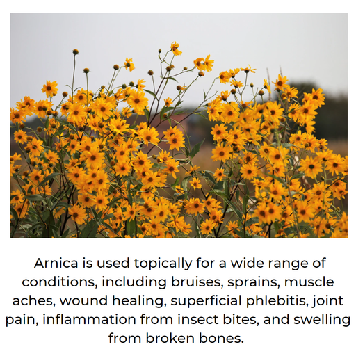 Mineranaturals Arnica Balm -  Muscle & Joint Relief Dark Slate Gray 2.25 Oz Twist Up Tube