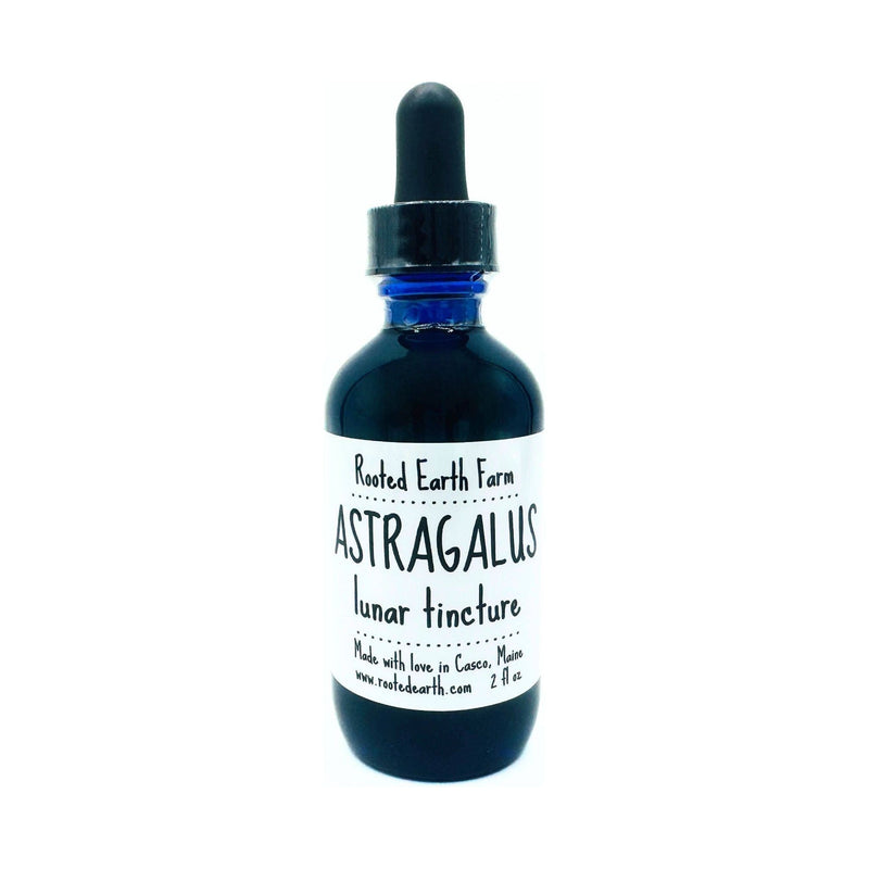 Rooted Earth Farm + Apothecary Astragalus Root Tincture Tinctures + Capsules Dark Slate Gray 2 oz