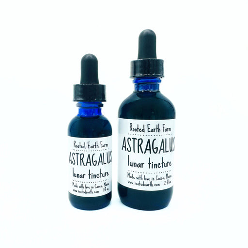 Rooted Earth Farm + Apothecary Astragalus Root Tincture Tinctures + Capsules Dark Slate Gray 1 oz,2 oz