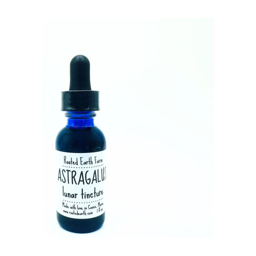 Rooted Earth Farm + Apothecary Astragalus Root Tincture Tinctures + Capsules Mint Cream 1 oz