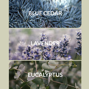 Aroma360 Blue Moon Oil Dark Slate Gray Pro-Pod™ / 30mL,Regular / 30mL,Regular / 120mL,Regular / 200mL,Regular / 500mL