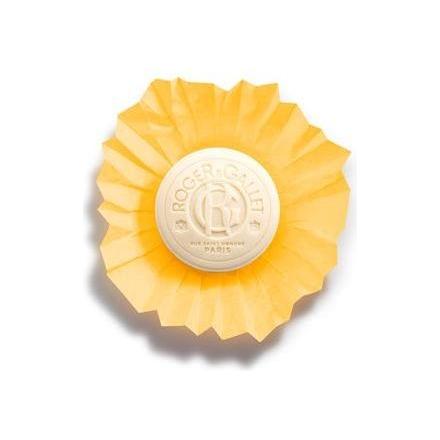 Roger & Gallet Roger & Gallet Bois D' Orange Wellbeing Soap 3.5 oz Wellbeing Soap Light Goldenrod