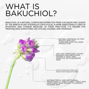 DCL Skincare Bakuchiol Night Cream White Smoke