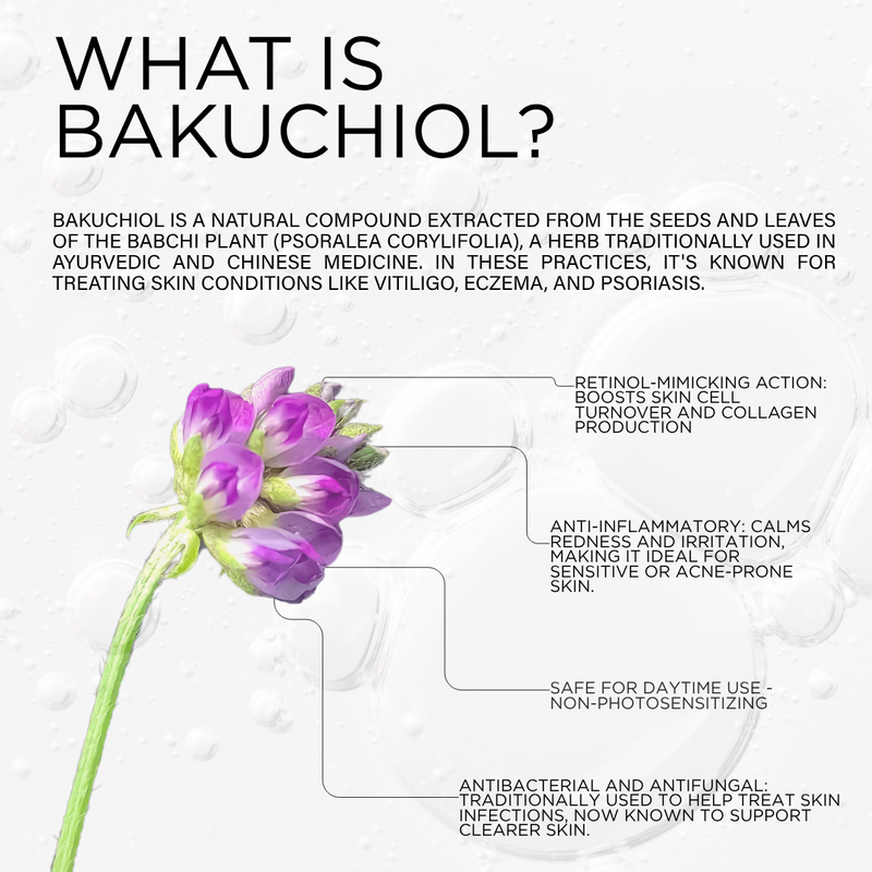 DCL Skincare Bakuchiol Night Cream White Smoke