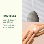Plant Therapy Balsam Fir Essential Oil Essential Oil Seashell 10 mL,30 mL