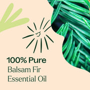 Plant Therapy Balsam Fir Essential Oil Essential Oil Antique White 10 mL,30 mL