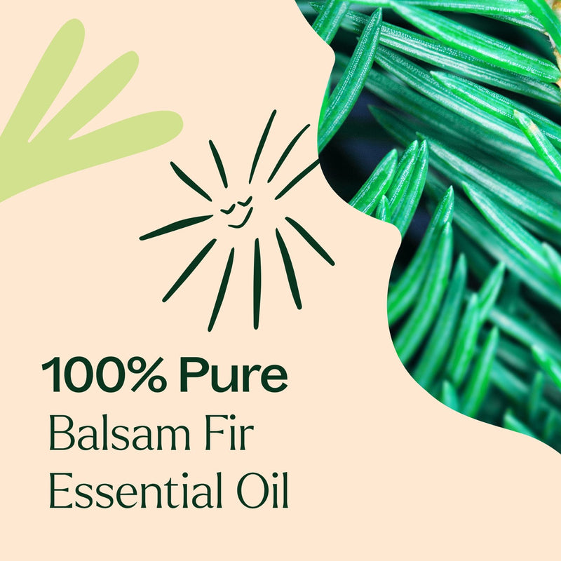 Plant Therapy Balsam Fir Essential Oil Essential Oil Antique White 10 mL,30 mL