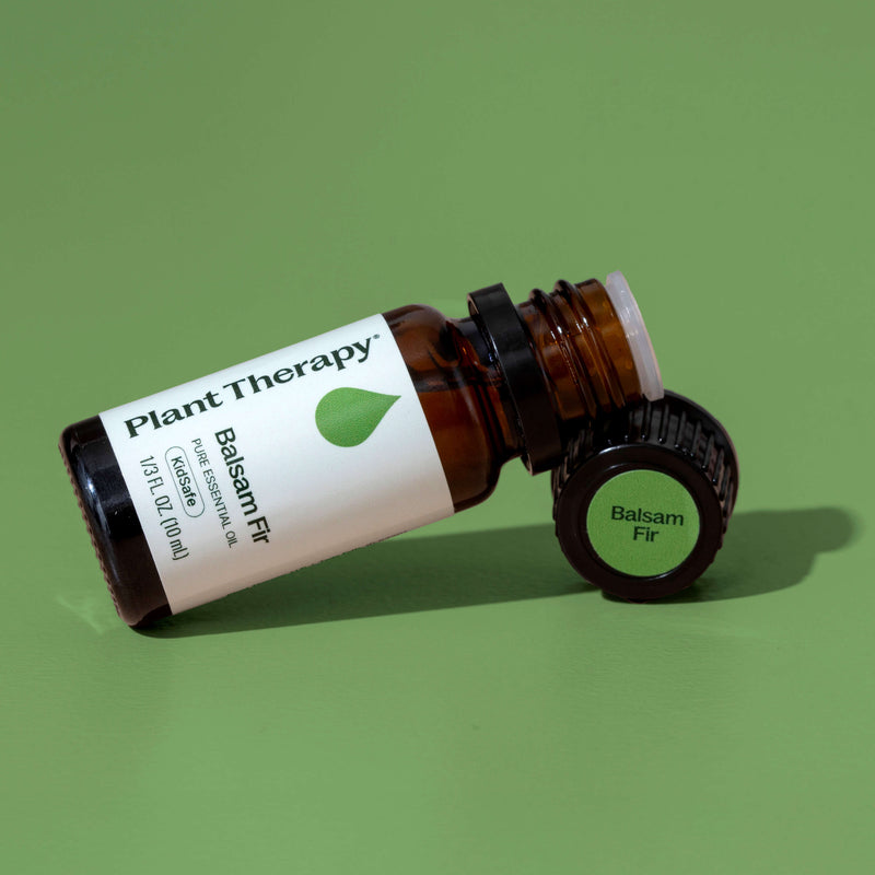 Plant Therapy Balsam Fir Essential Oil Essential Oil Dim Gray 10 mL,30 mL