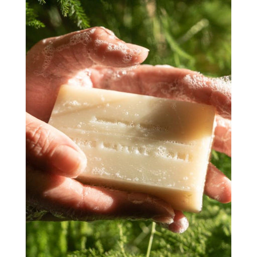 Juniper Ridge Redwood Mist Bar Soap 3-Pack Bar Soap Dark Olive Green