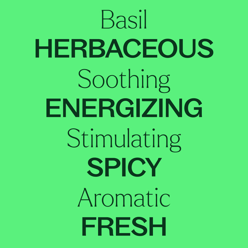 Plant Therapy Basil Linalool Essential Oil Essential Oil Light Green 10 mL