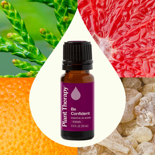 Plant Therapy Be Confident Essential Oil Blend Essential Oil Seashell 10 mL