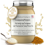 MG Windward Trading LLC Bee Pollen Infused Organic Sea Moss Gel Herbal Gel Light Gray 8 oz. / Without Agave,8 oz. / WIth Agave,16 oz. / Without Agave,16 oz. / WIth Agave,32 oz. / Without Agave,32 oz. / WIth Agave