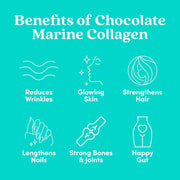 Further Food Chocolate Marine Collagen Powder Collagen Dark Turquoise 1 Pack,2 Pack,3 Pack