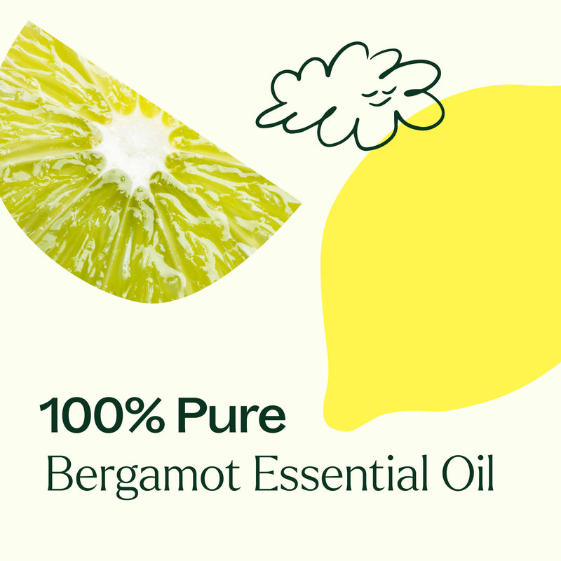 Plant Therapy Bergamot Essential Oil Essential Oil Seashell 10 mL,30 mL,100 mL