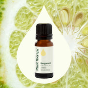 Plant Therapy Bergamot Essential Oil Essential Oil Seashell 10 mL,30 mL,100 mL