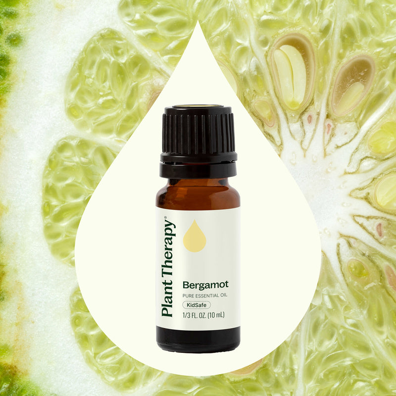 Plant Therapy Bergamot Essential Oil Essential Oil Seashell 10 mL,30 mL,100 mL